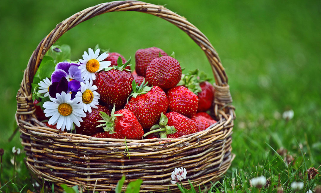 琼中点呀点水果电商APP开发案例